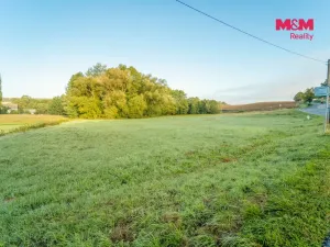 Prodej louky, Příkosice, 3898 m2
