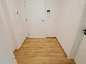 Pronájem bytu 1+kk, Olomouc, Ostrovní, 36 m2