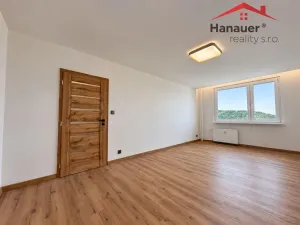 Prodej bytu 2+1, Ústí nad Labem - Střekov, Nová, 64 m2