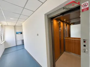 Prodej bytu 2+1, Ústí nad Labem - Střekov, Nová, 64 m2