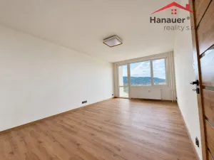Prodej bytu 2+1, Ústí nad Labem - Střekov, Nová, 64 m2