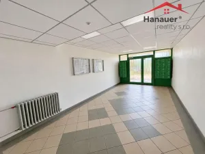 Prodej bytu 2+1, Ústí nad Labem - Střekov, Nová, 64 m2
