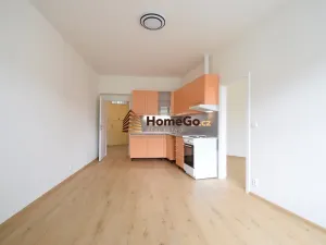 Pronájem bytu 2+kk, Praha - Nusle, Žateckých, 48 m2