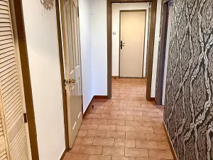 Prodej obchodního prostoru, Praha - Nusle, Na Jezerce, 74 m2