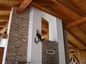 Prodej komerční nemovitosti, Lomnice - Tylov, 5700 m2