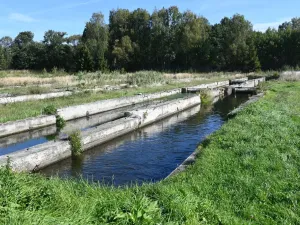 Prodej komerční nemovitosti, Lomnice - Tylov, 5700 m2