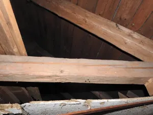 Prodej chalupy, Strážné, 200 m2