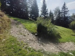 Prodej chalupy, Strážné, 200 m2