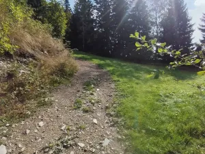 Prodej chalupy, Strážné, 200 m2