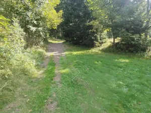 Prodej chalupy, Strážné, 200 m2
