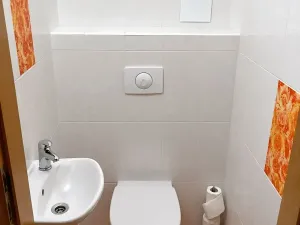 Prodej bytu 1+kk, Lipno nad Vltavou, 51 m2