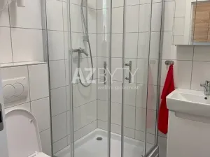 Pronájem bytu 1+kk, Praha - Bubeneč, Jaselská, 29 m2