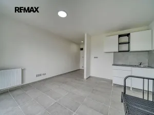 Pronájem bytu 1+kk, Velký Osek, Revoluční, 24 m2