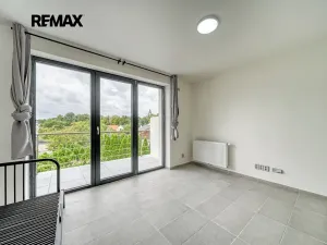 Pronájem bytu 1+kk, Velký Osek, Revoluční, 24 m2
