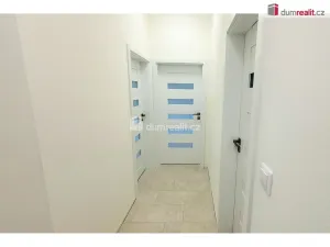 Pronájem bytu 3+kk, Plzeň - Východní Předměstí, Truhlářská, 88 m2