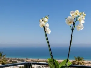 Prodej bytu 4+kk, Santa Pola, Alicante, Španělsko, 97 m2