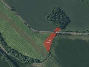 Prodej pole, Děčany, 8172 m2