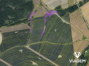 Prodej podílu pole, Golčův Jeníkov, 2951 m2