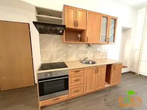 Pronájem bytu 2+kk, Plzeň, Úslavská, 50 m2