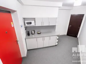 Pronájem kanceláře, Praha - Nové Město, Horská, 35 m2