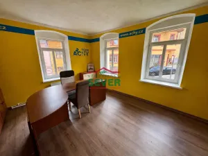 Prodej činžovního domu, Luby, Chebská, 571 m2