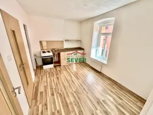 Prodej činžovního domu, Luby, Chebská, 571 m2