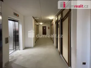Pronájem bytu 1+kk, Praha - Písnice, Na okruhu, 20 m2