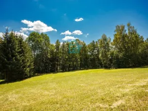 Prodej pozemku, Benešov nad Černou - Klení, 6805 m2