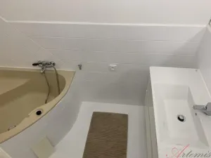 Pronájem bytu 2+kk, Ostrava - Poruba, U Sportoviště, 55 m2