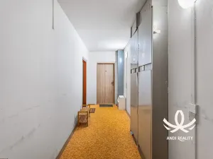 Prodej bytu 3+1, Mladá Boleslav, Jana Palacha, 73 m2