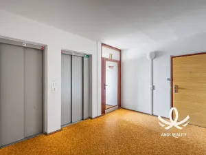 Prodej bytu 3+1, Mladá Boleslav, Jana Palacha, 73 m2