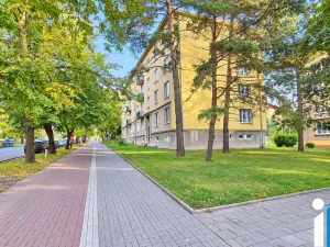 Prodej bytu 3+1, Přerov, Želatovská, 75 m2