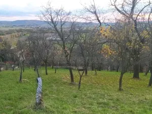 Prodej zahrady, Přílepy, 3492 m2
