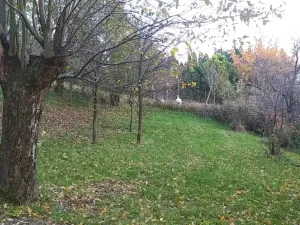 Prodej zahrady, Přílepy, 3492 m2