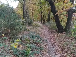 Prodej zahrady, Přílepy, 3492 m2