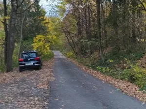 Prodej zahrady, Přílepy, 3492 m2