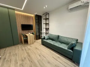 Prodej bytu 1+kk, Golem, 33 m2