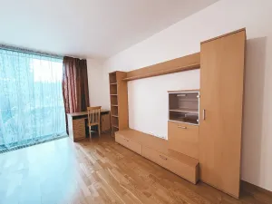Pronájem bytu 1+kk, Praha - Žižkov, Malešická, 53 m2