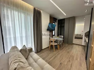 Prodej bytu 1+kk, Golem, 36 m2