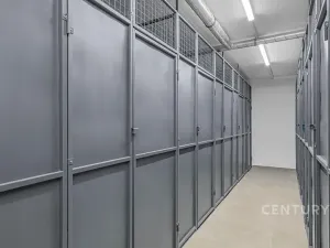 Pronájem bytu 1+kk, Milovice, 29 m2