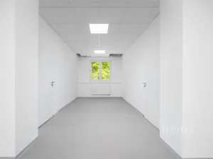 Pronájem kanceláře, Liberec - Liberec IV-Perštýn, Dr. Milady Horákové, 30 m2