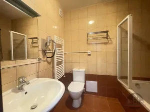 Pronájem bytu 1+kk, Praha - Smíchov, Plzeňská, 27 m2