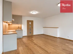 Pronájem bytu 1+kk, Opava, Lužická, 38 m2