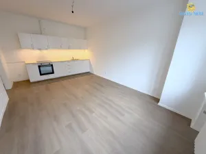 Pronájem bytu 2+kk, Praha - Žižkov, Baranova, 60 m2