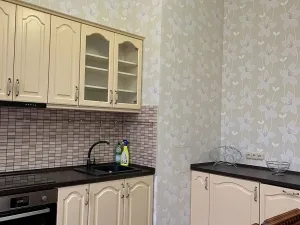 Pronájem bytu 2+1, Karlovy Vary, nábřeží Jana Palacha, 60 m2