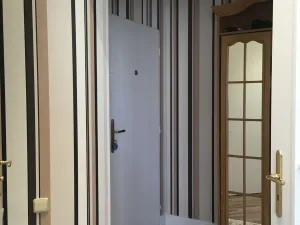 Pronájem bytu 2+1, Karlovy Vary, nábřeží Jana Palacha, 60 m2