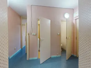 Prodej bytu 2+1, Uherský Brod, Větrná, 56 m2