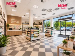 Pronájem obchodního prostoru, Šumperk, Langrova, 129 m2