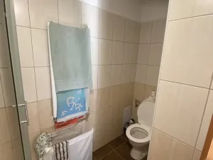 Pronájem bytu 1+kk, Brno - Veveří, Smetanova, 30 m2