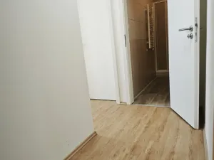 Pronájem bytu 1+kk, Brno - Veveří, Smetanova, 17 m2